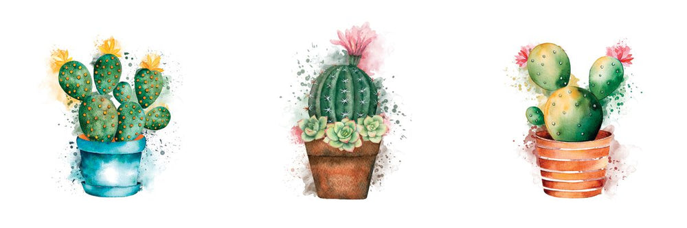 Various Cactus Pots Splatter