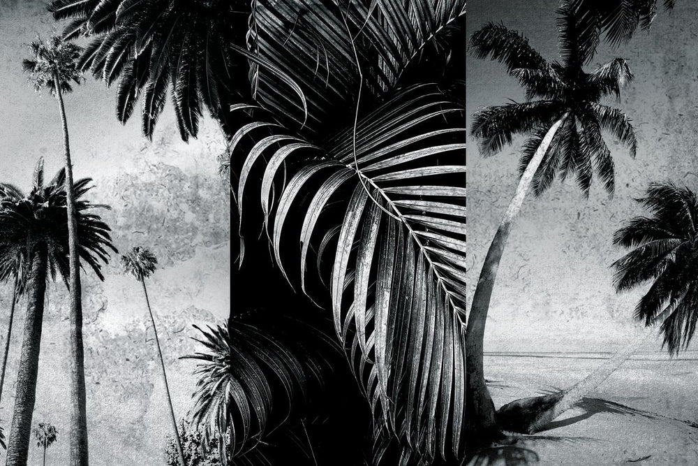 Grunge Palm Leaves