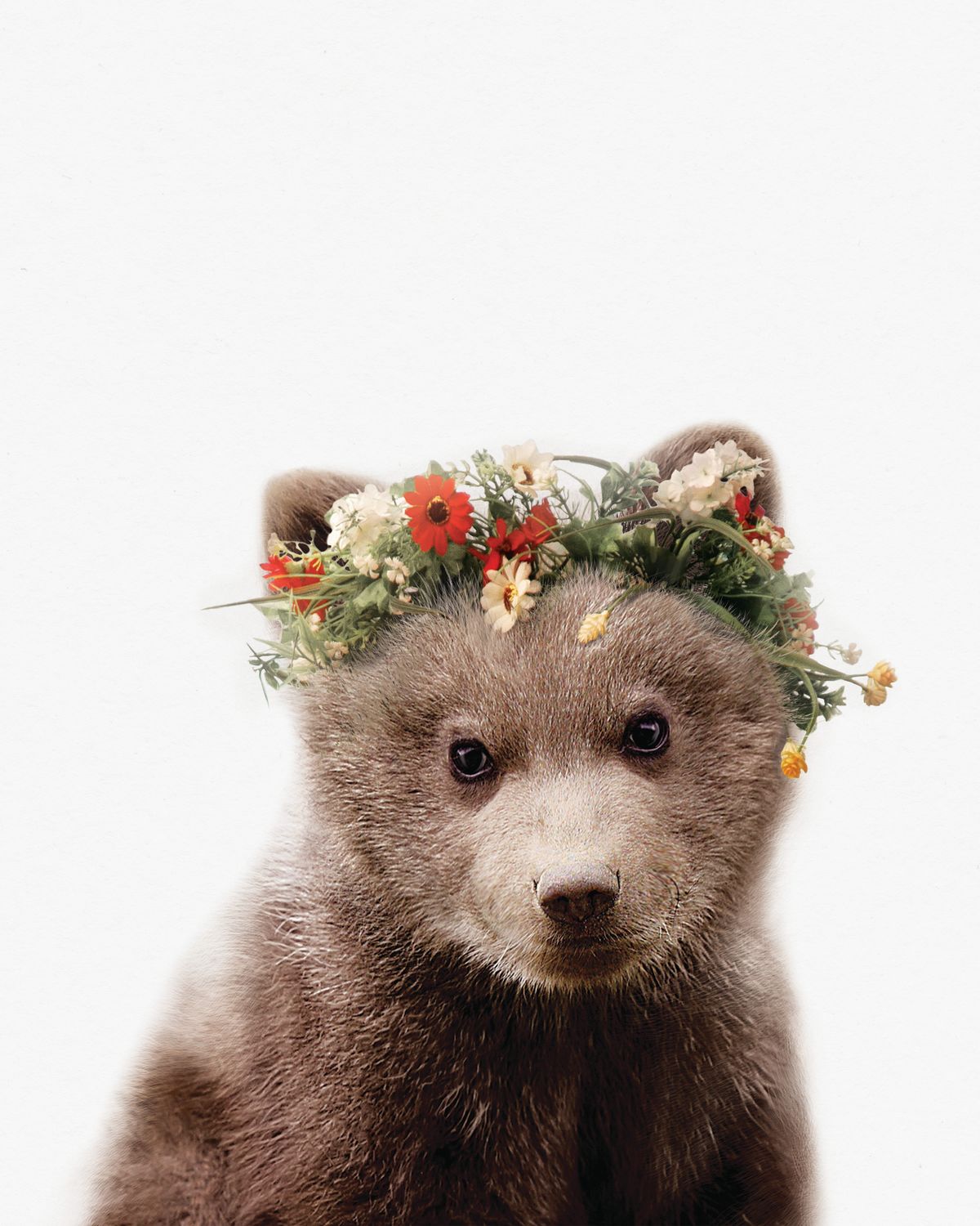 Floral Crown Bear
