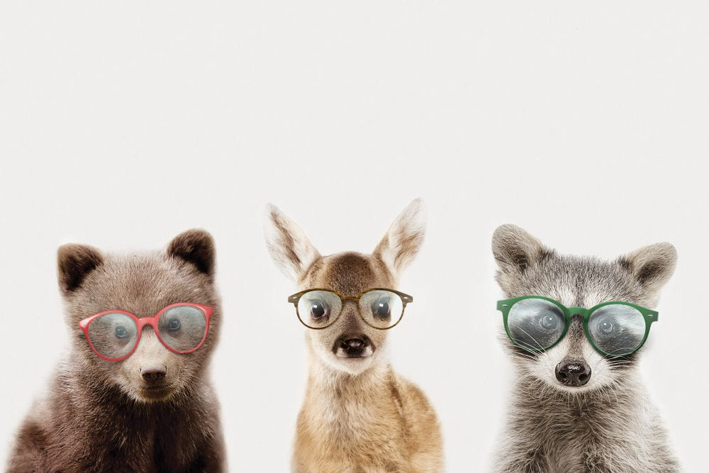 Baby Animals With Glasses I