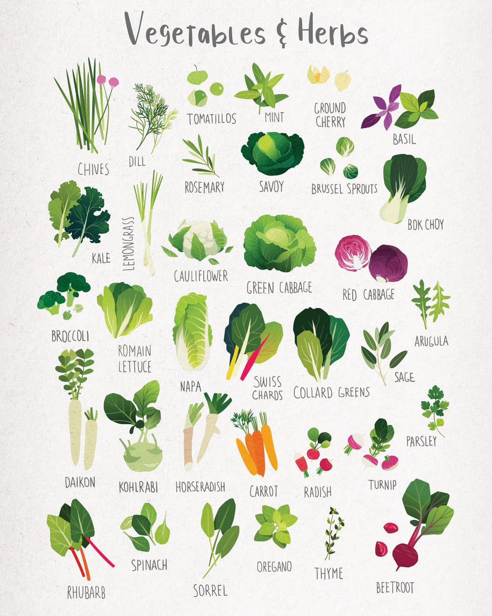 Vegetables And Herbs Chart