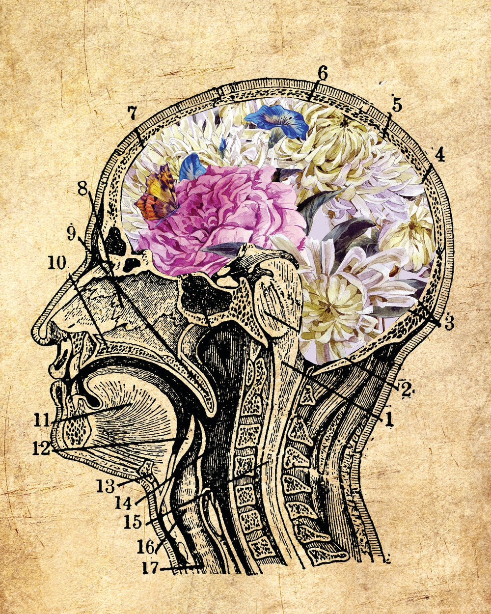 Brain Floral
