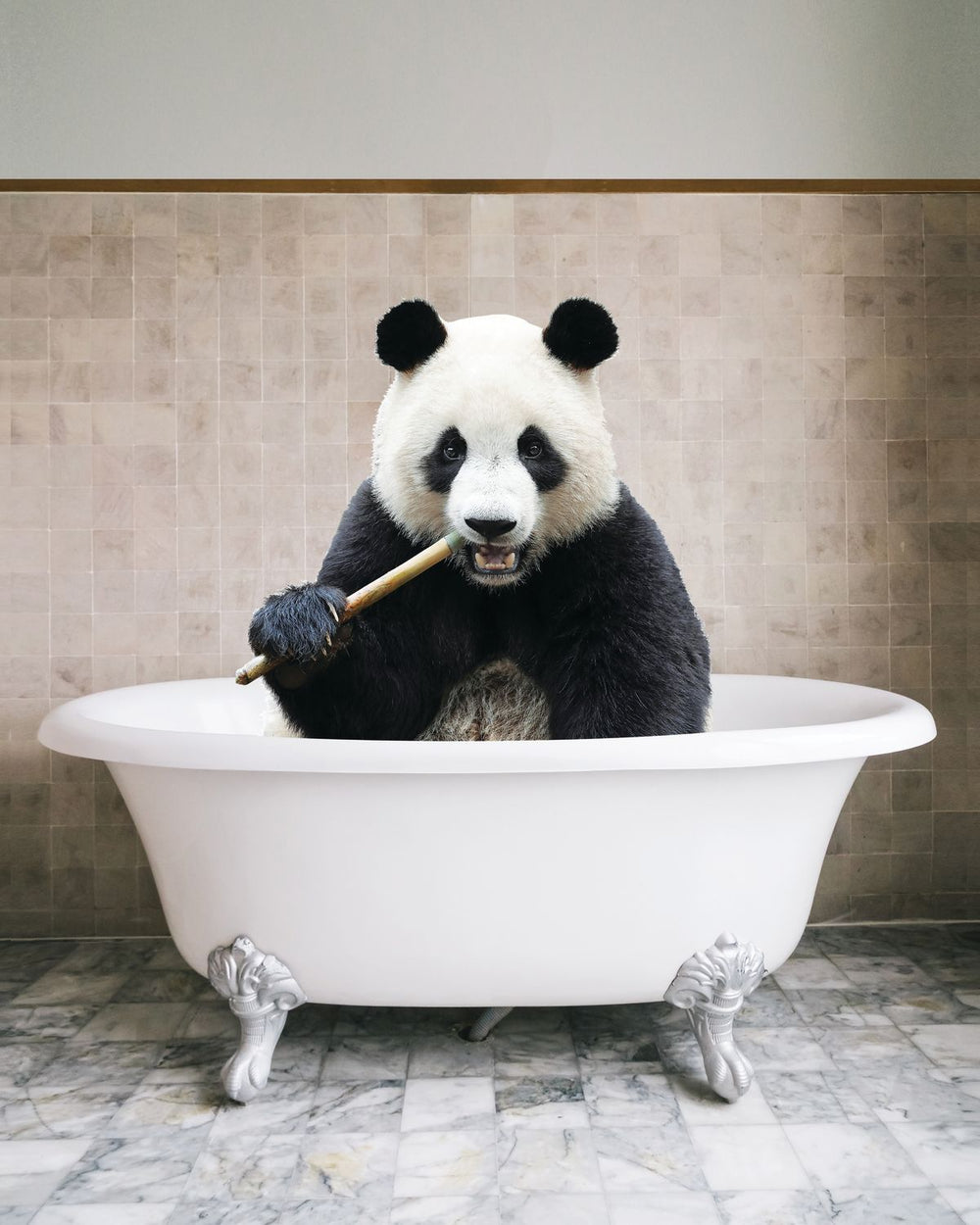 Bathtub Animal Eating Panda