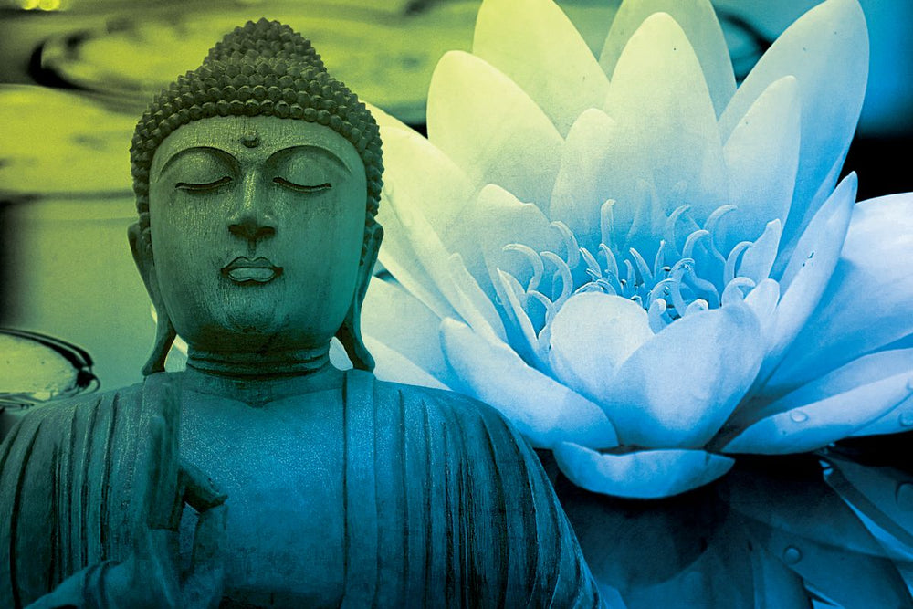 Buddha Meditation Lotus
