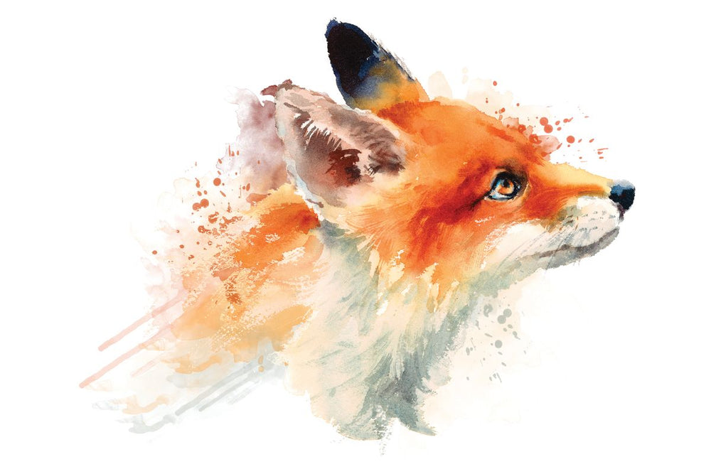 Red Fox Splatter