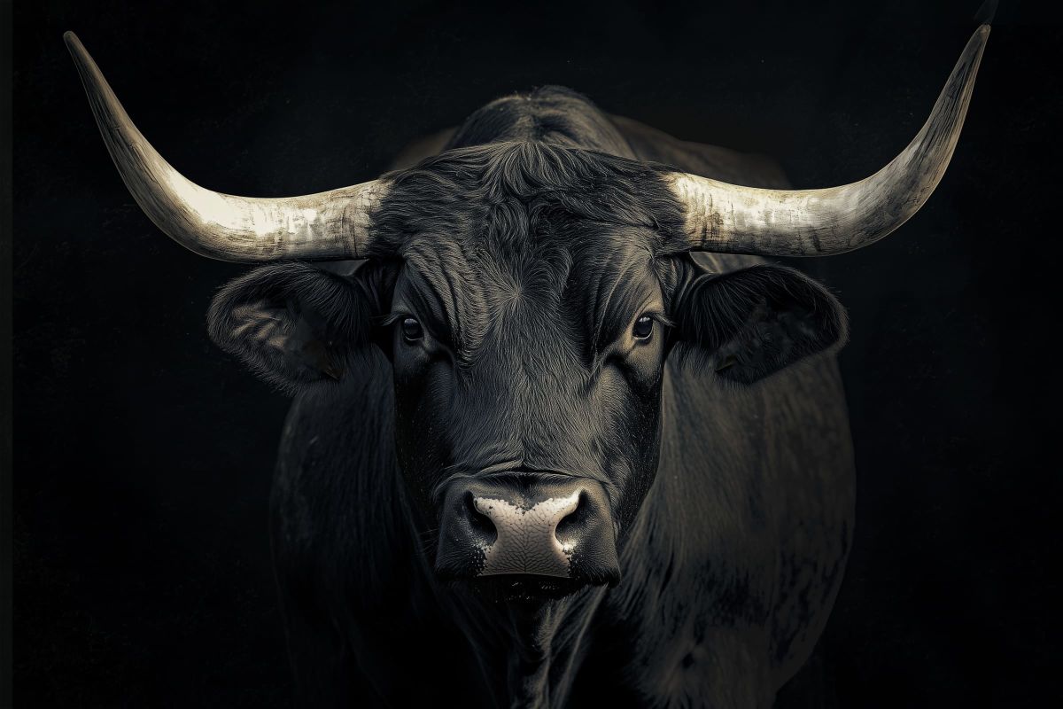 Strong Bull