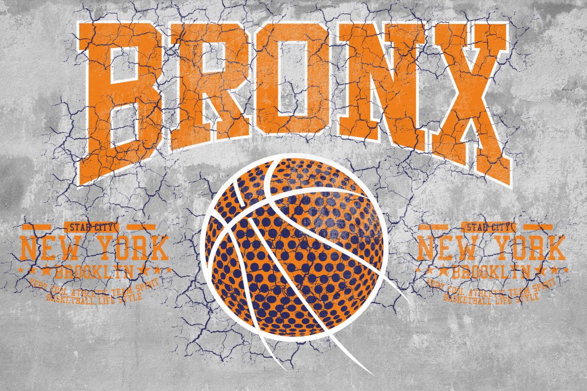 Bronx NY Basketball