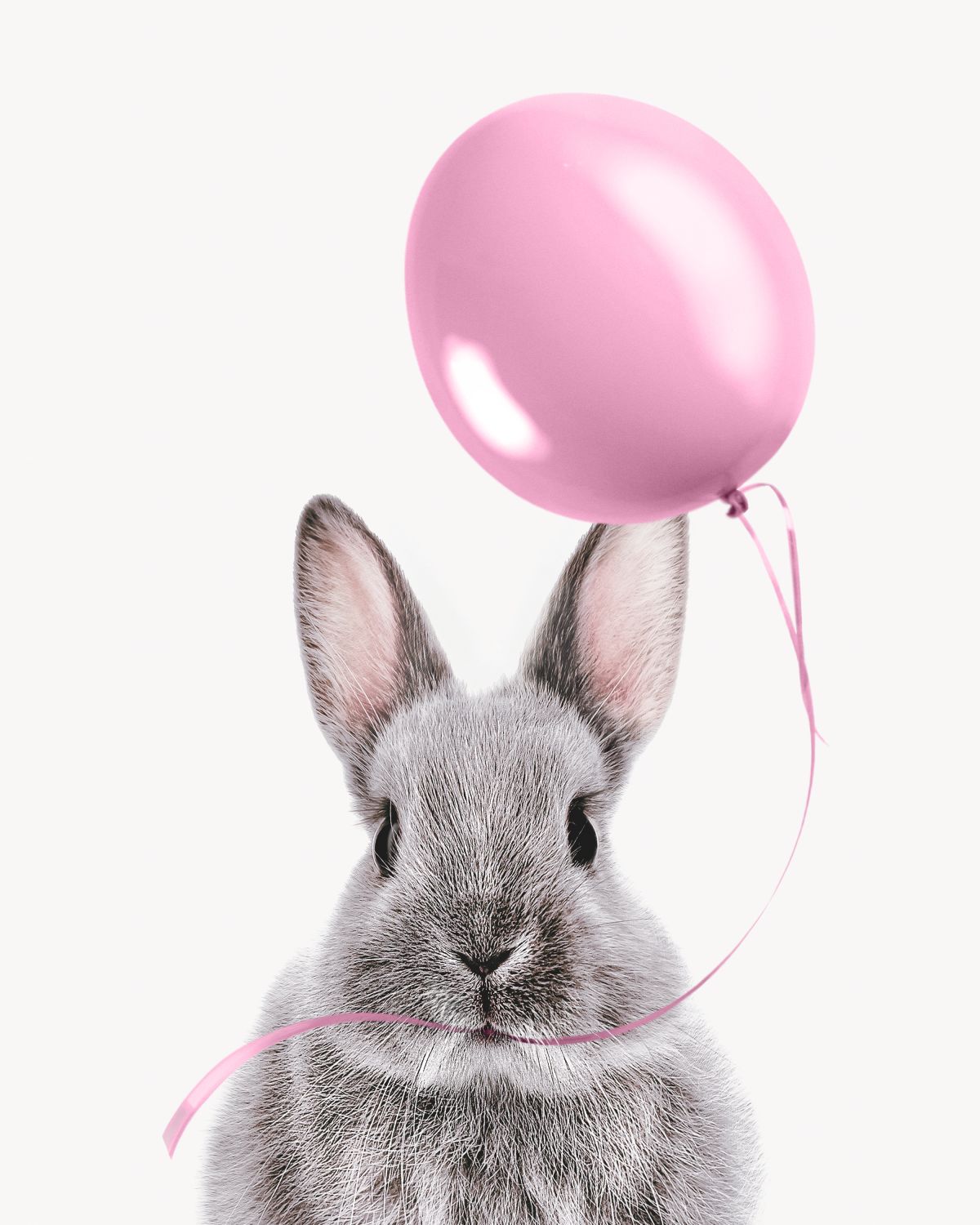 Rabbit And Pink Balloon