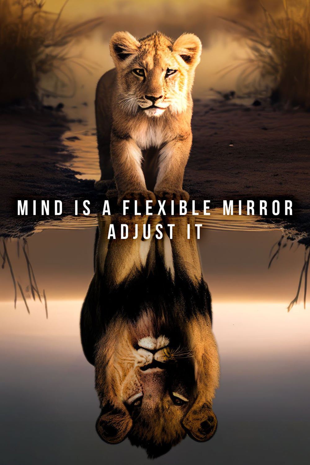 Mind Is A Flexible Mirror