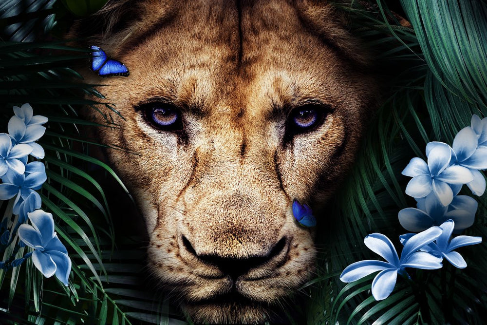 Tropical Lioness