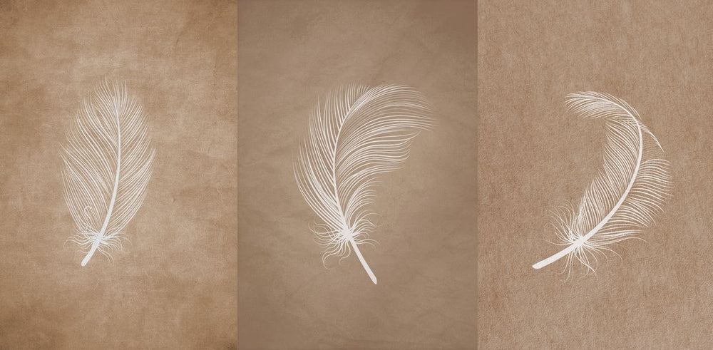 White Feathers On Brown Trio
