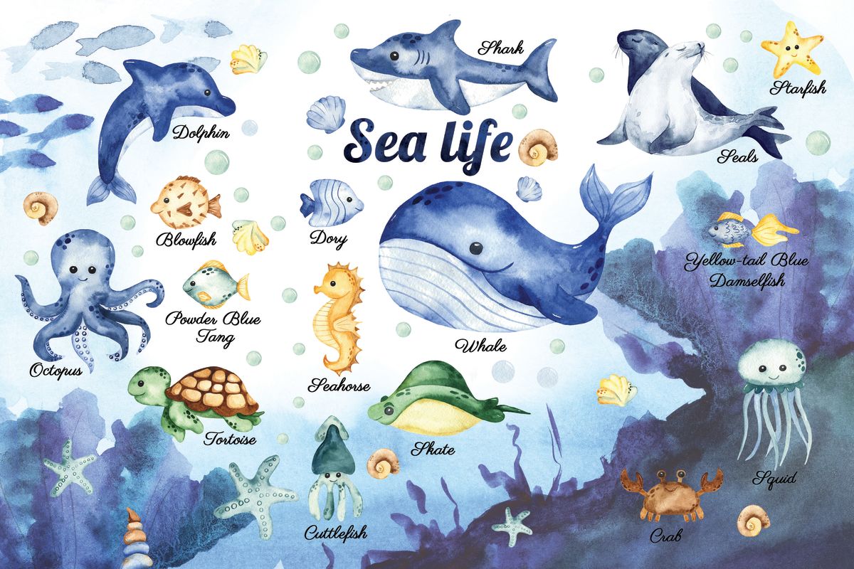 Sea Life Chart