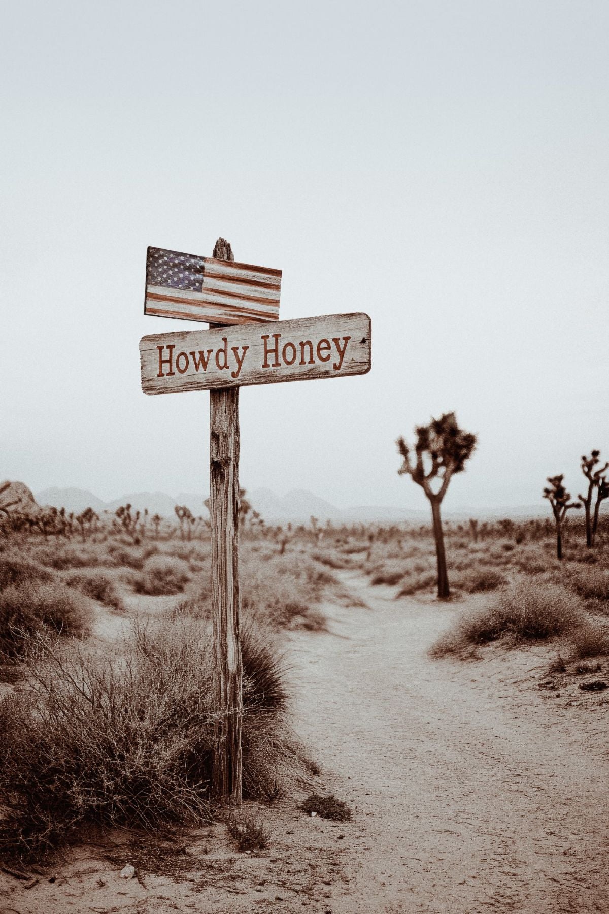 Howdy Honey US Road Sign