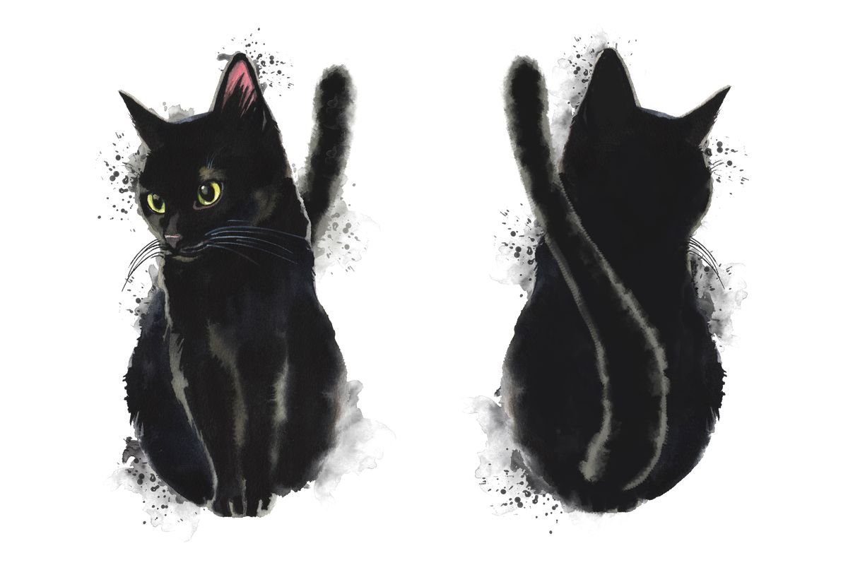 Black Cat Pair Splatter