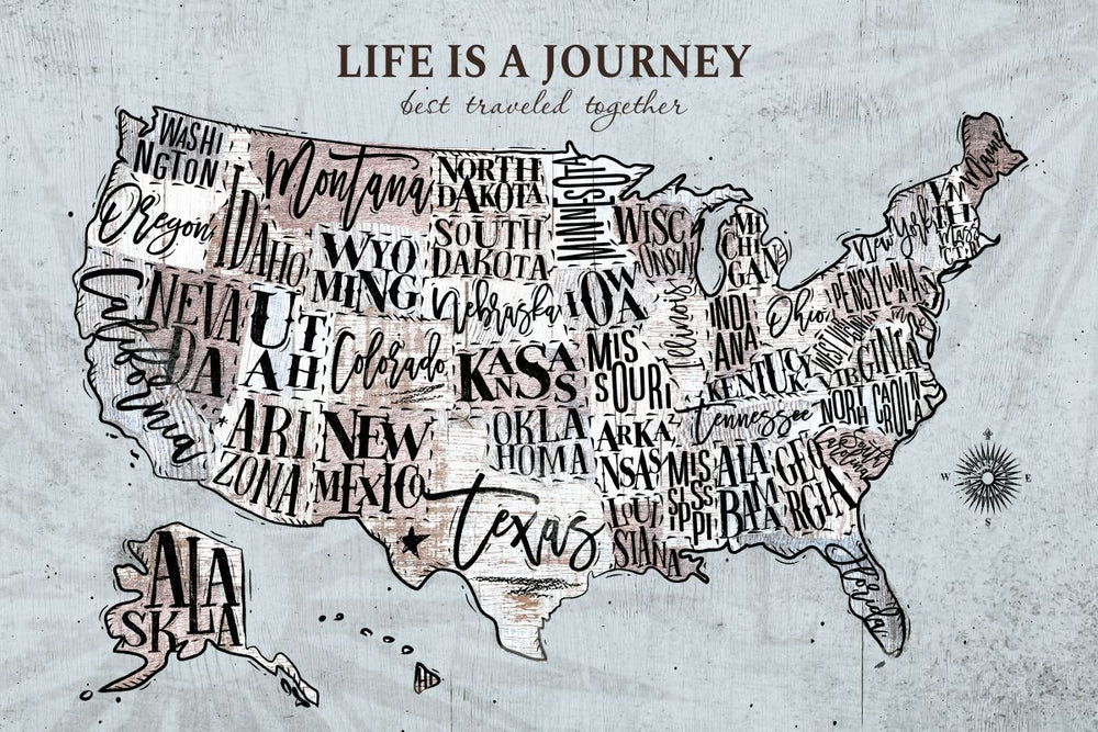 Life's Journey Push Pin USA Map