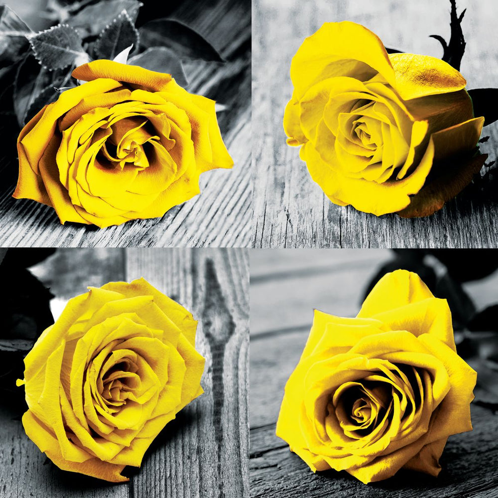 Yellow Roses Pop Set