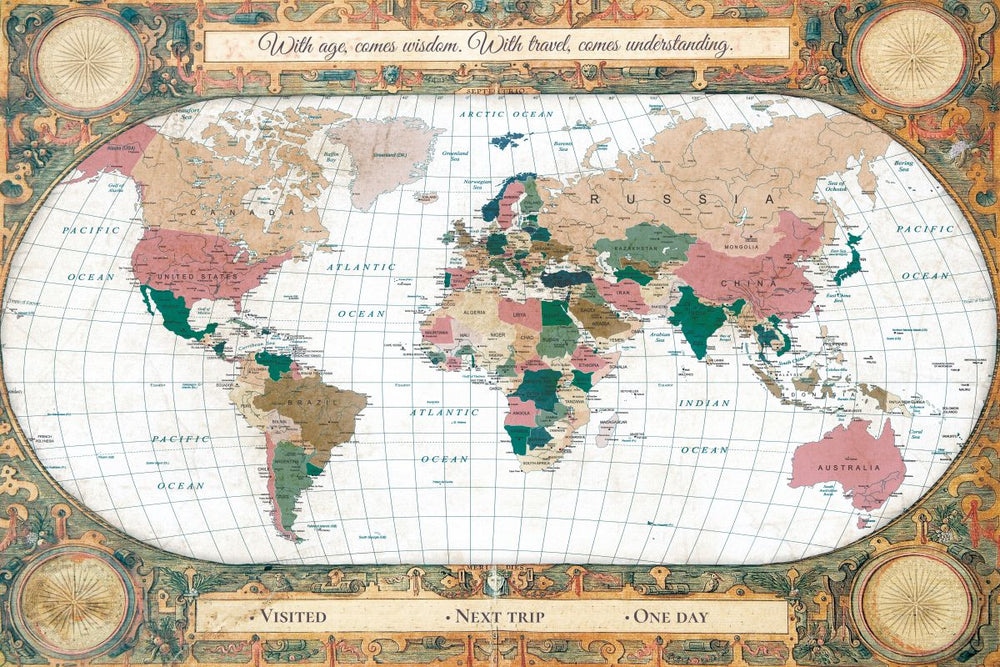 Travel Wisdom I Push Pin World Map