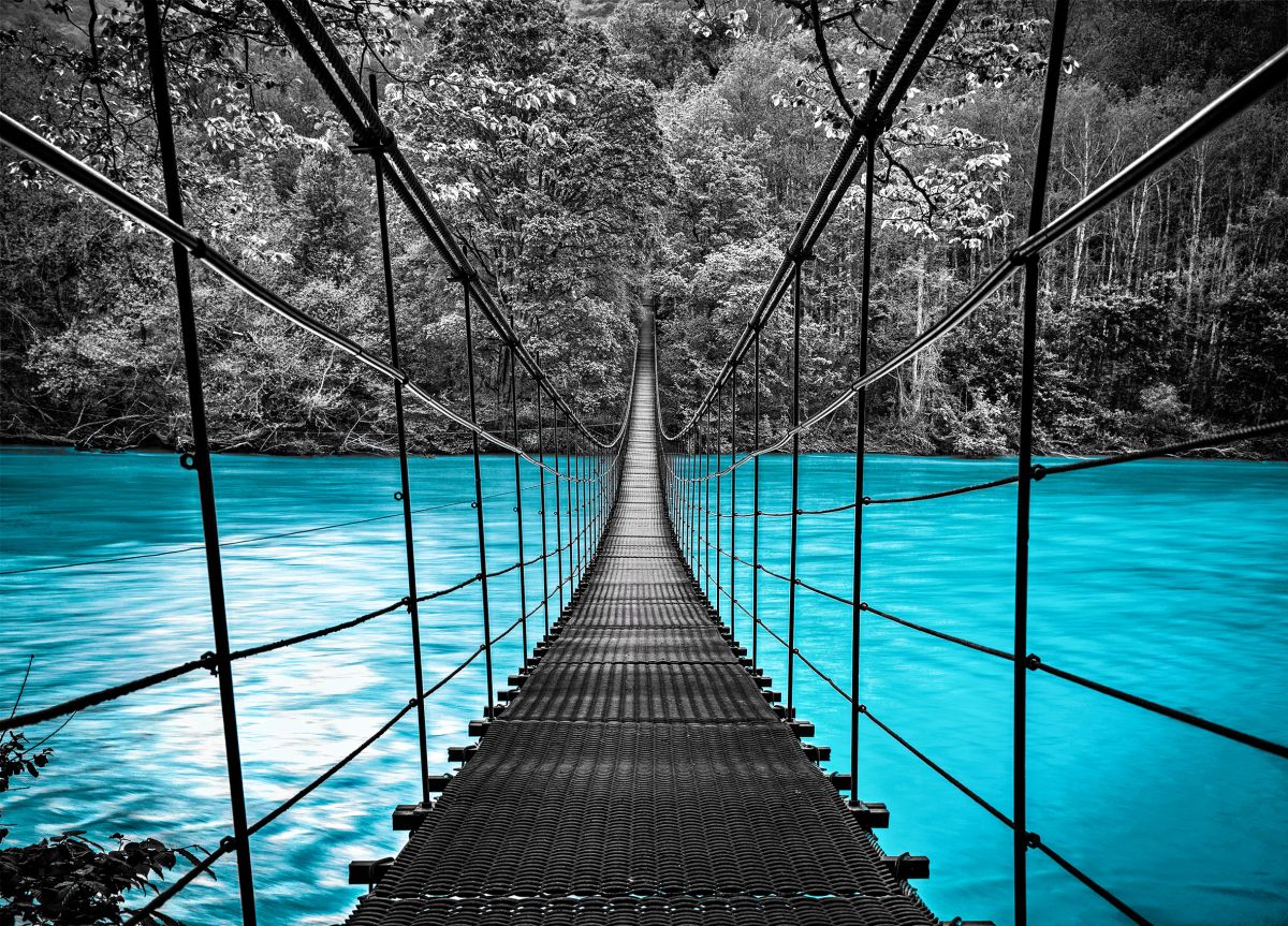 Suspension Bridge