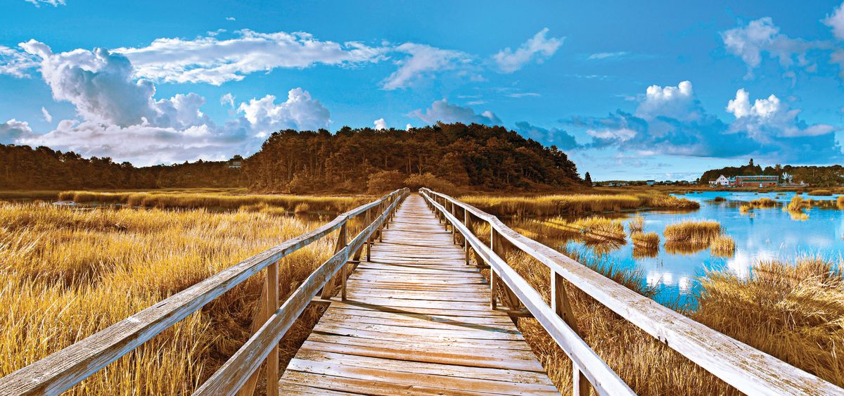 Calm Lake Walkway