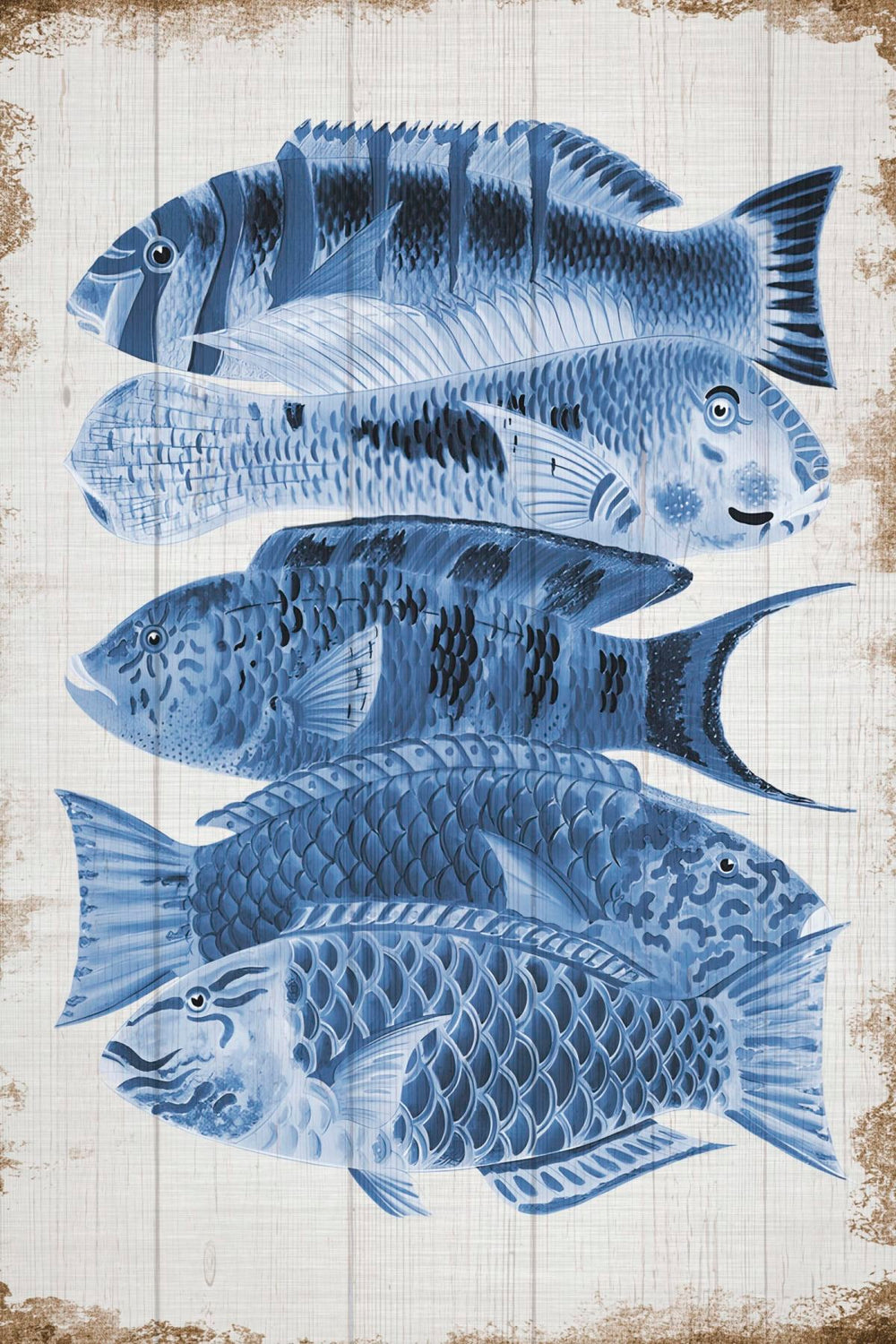 Great Barrier Reef Fishes Blue