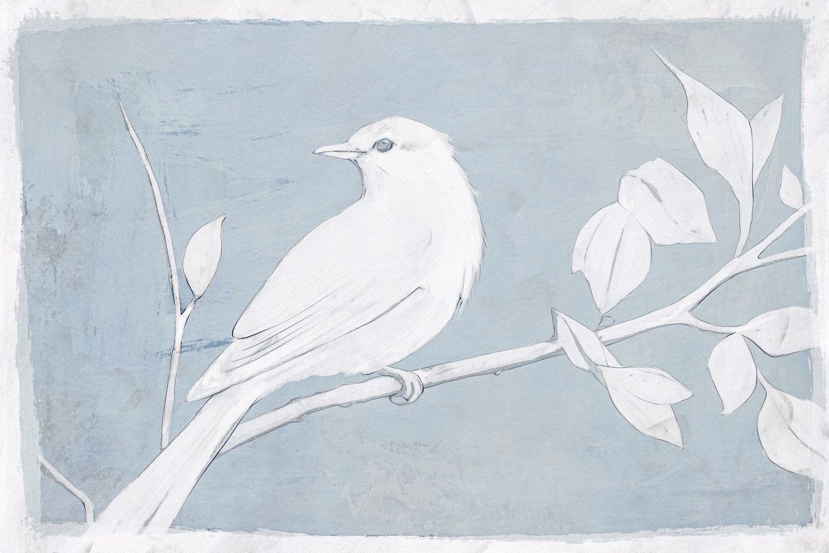 White Bird On Branch