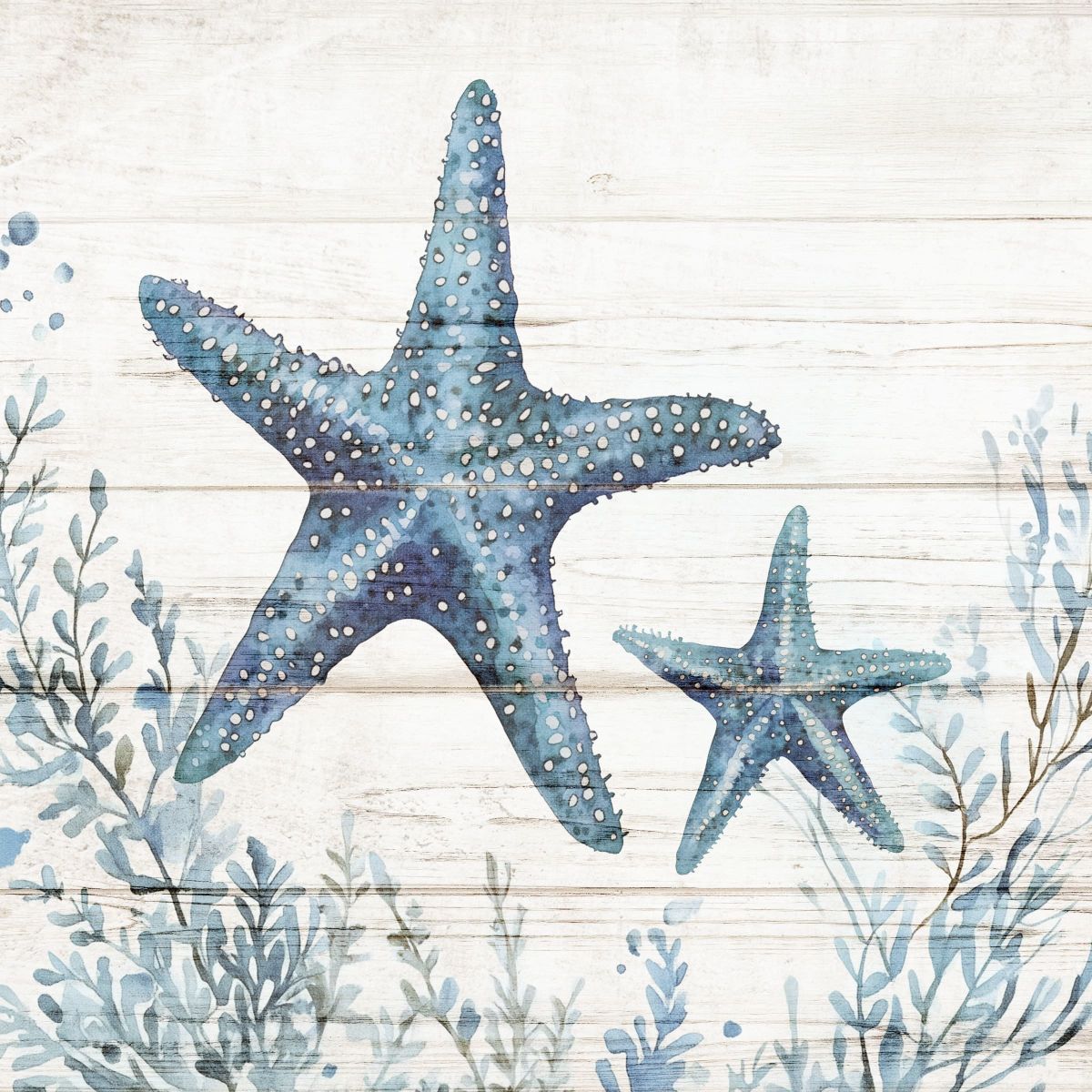 Starfish With Baby Underwater