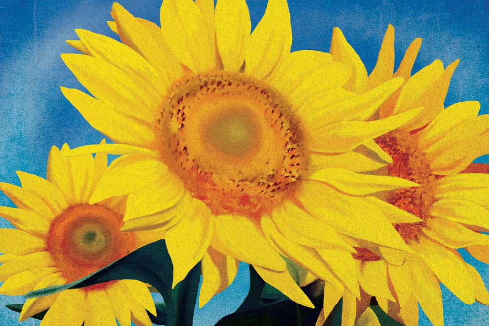 Sunflower Impressionist