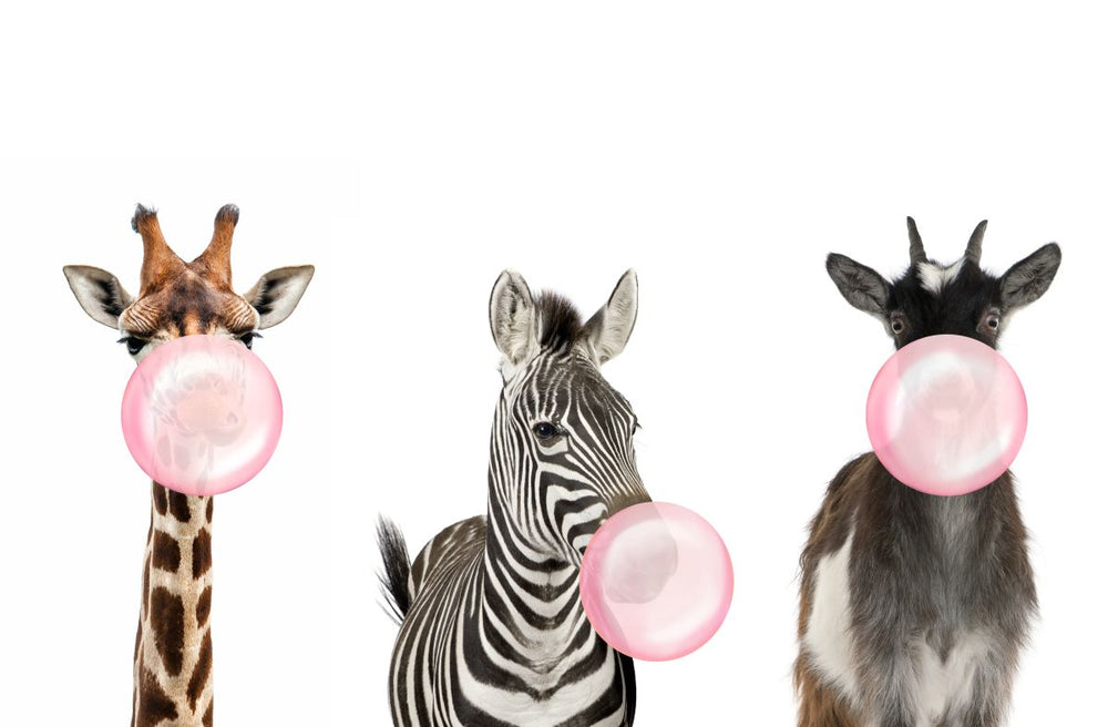 Bubble Gum Safari Animals