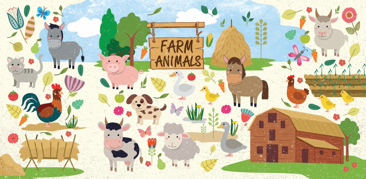 Farm Animals Chart