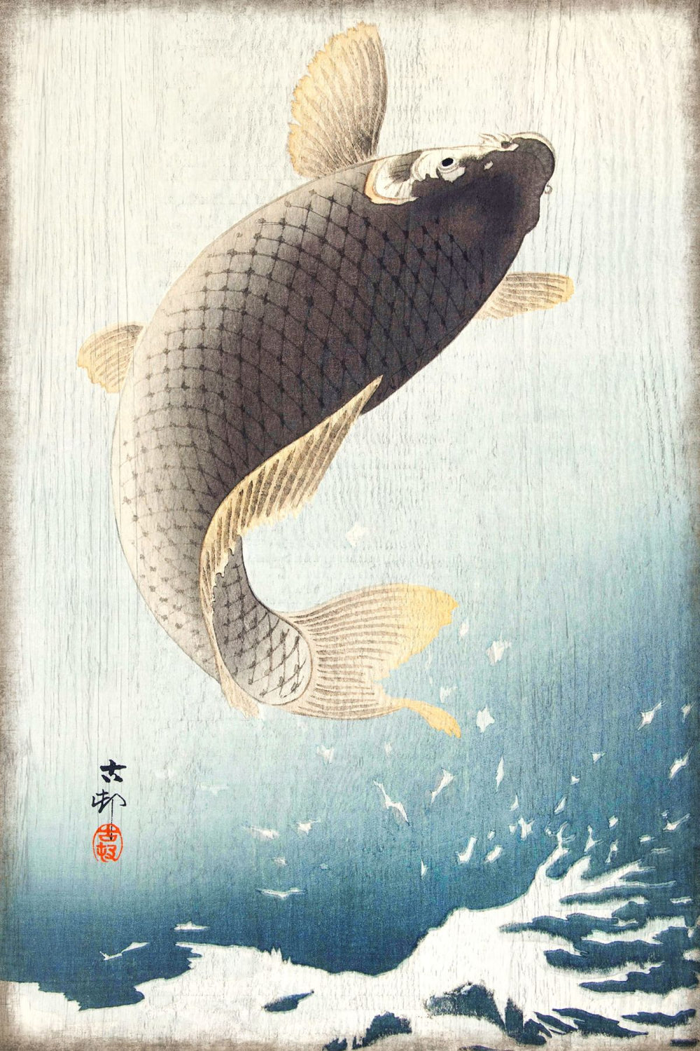 Vintage Carp Inspired