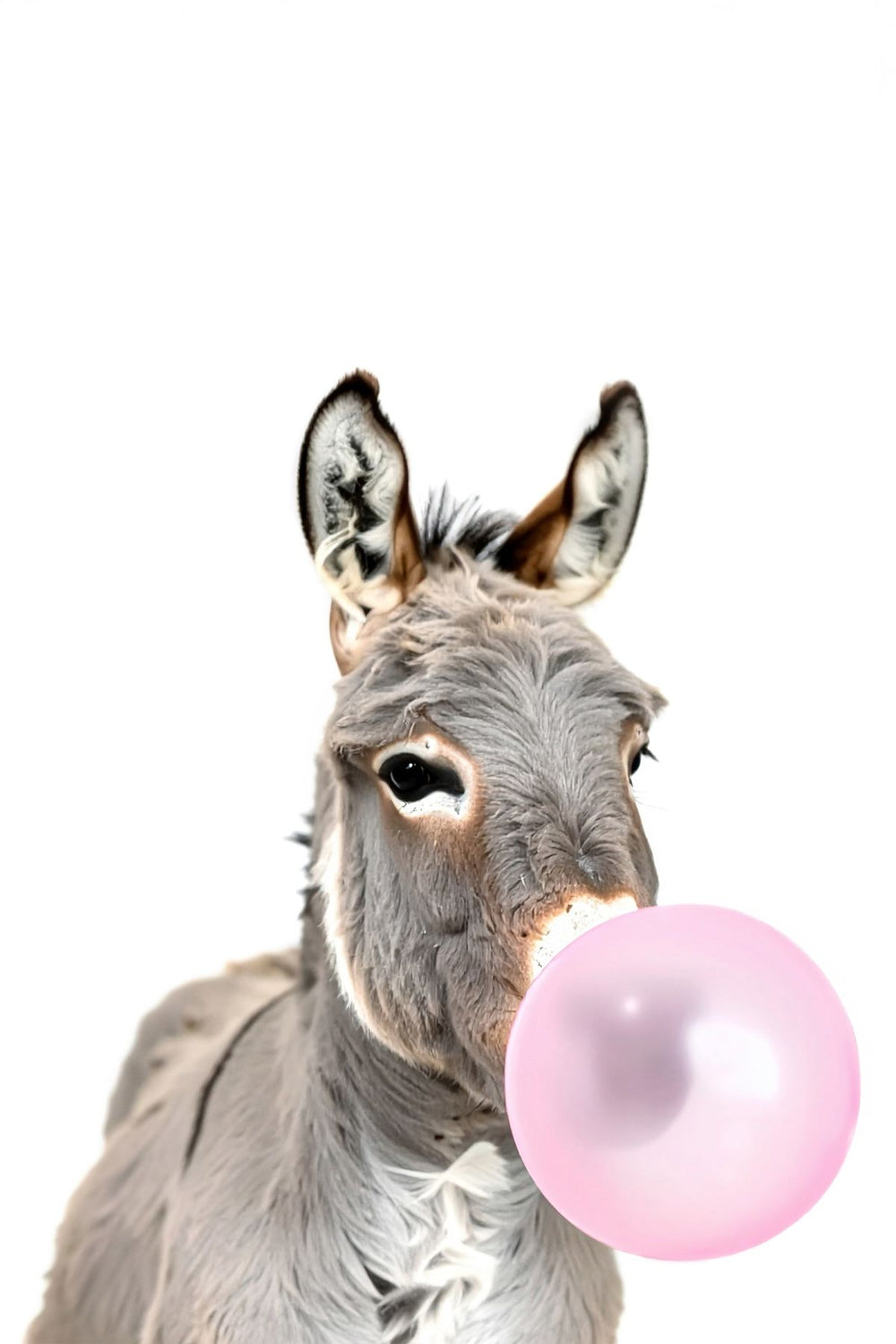 Bubble Gum Donkey