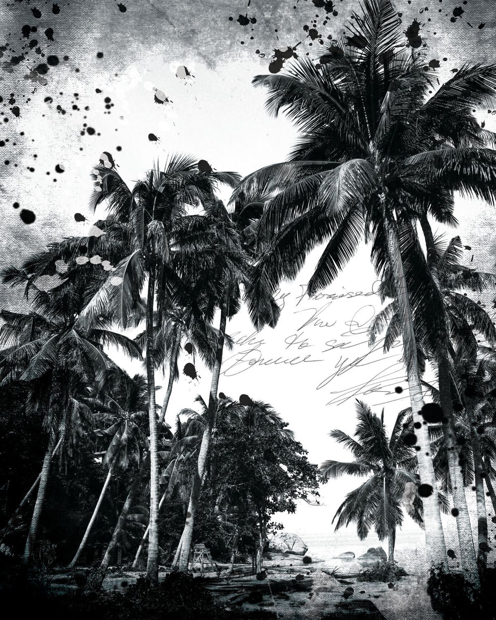 Grunge Coconut Trees