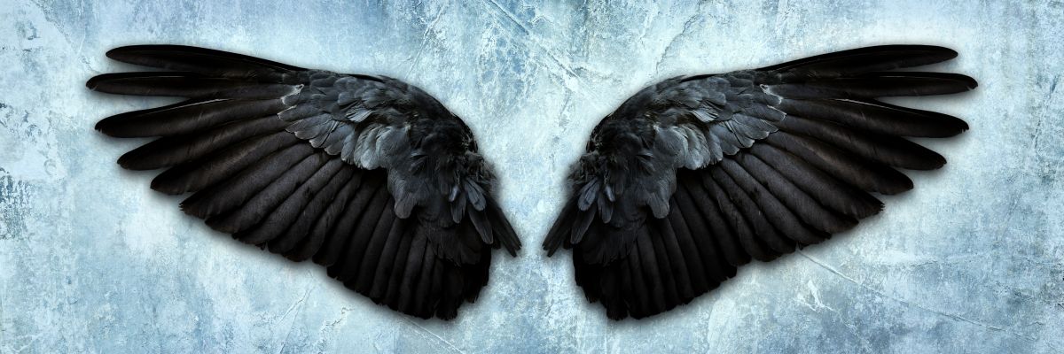 Lustrous Black Angel Wings