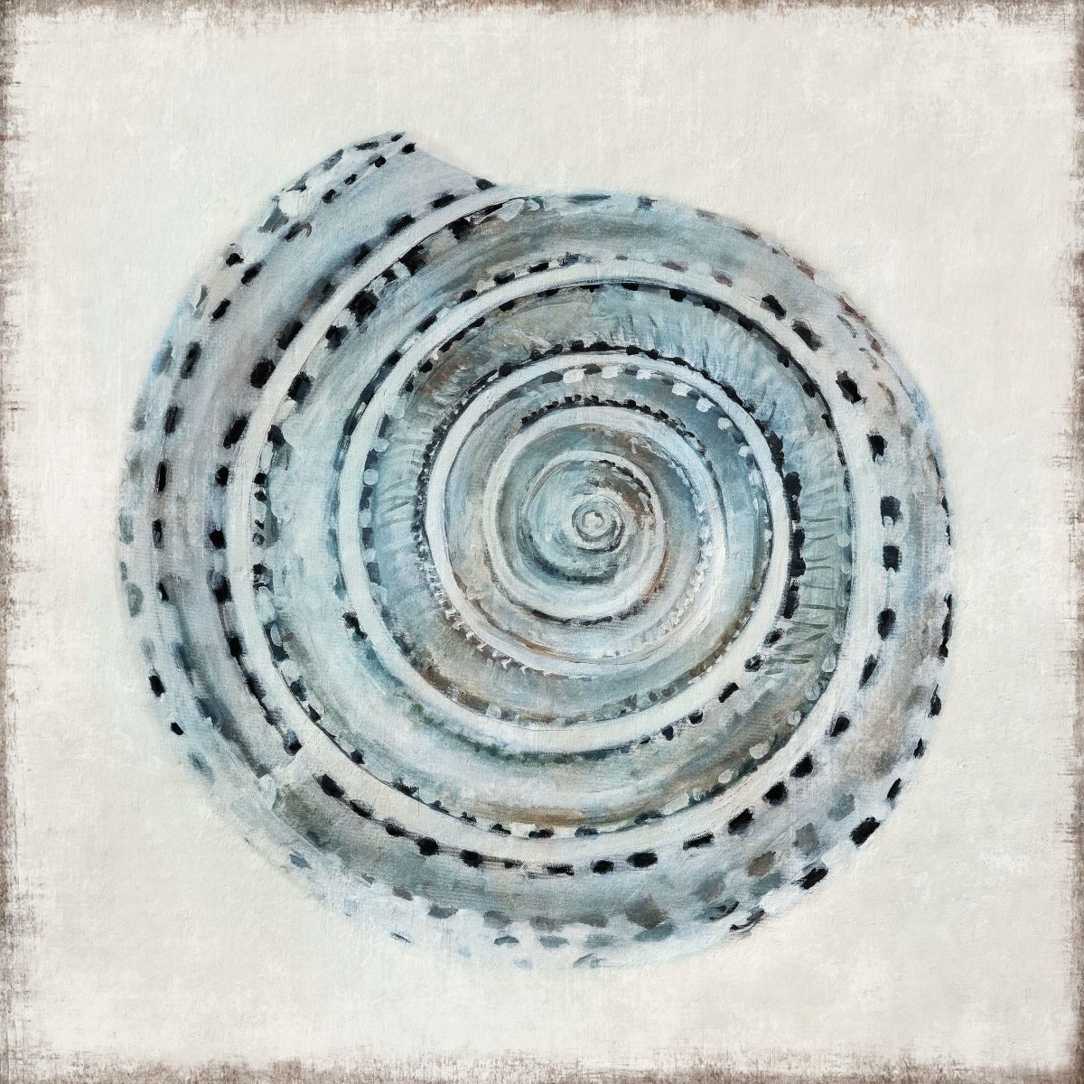 Spiral Sea Shell