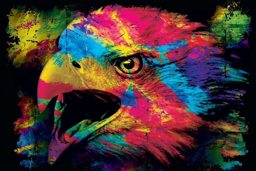Eagle In Colors