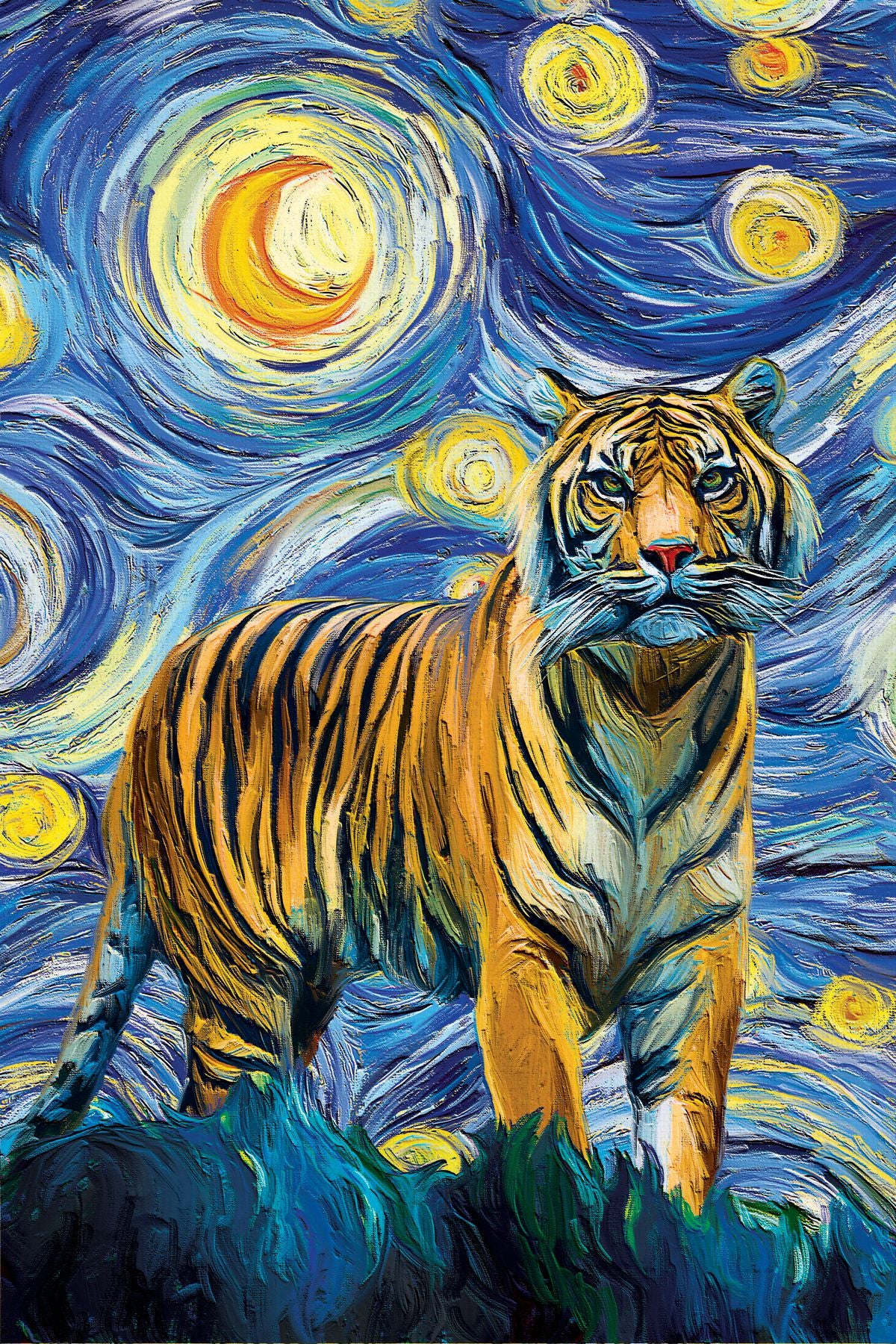 Sumatran Tiger Starry Night