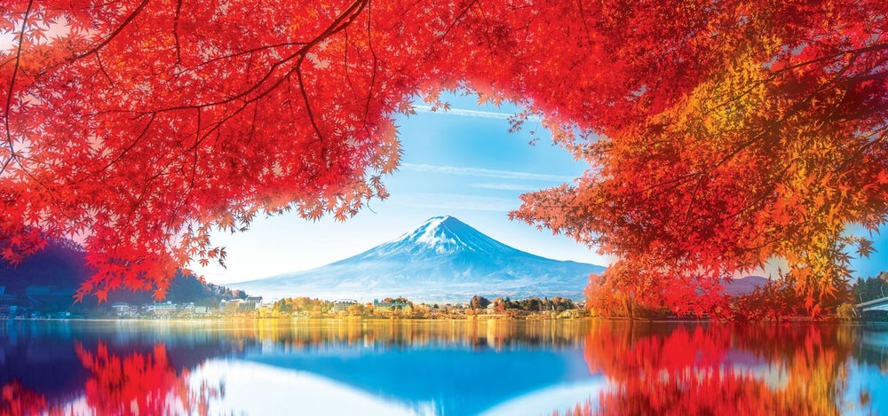 Fall In Mount Fuji