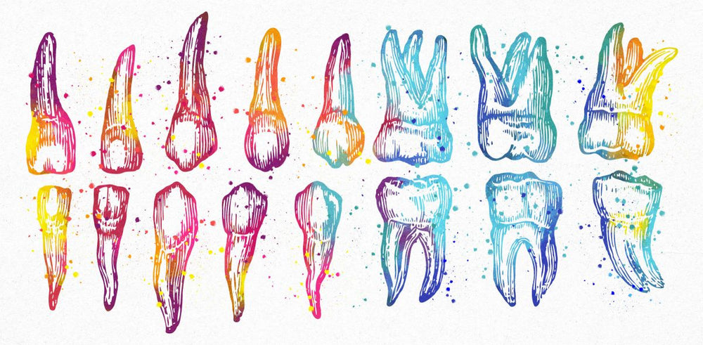 Aligned Teeth