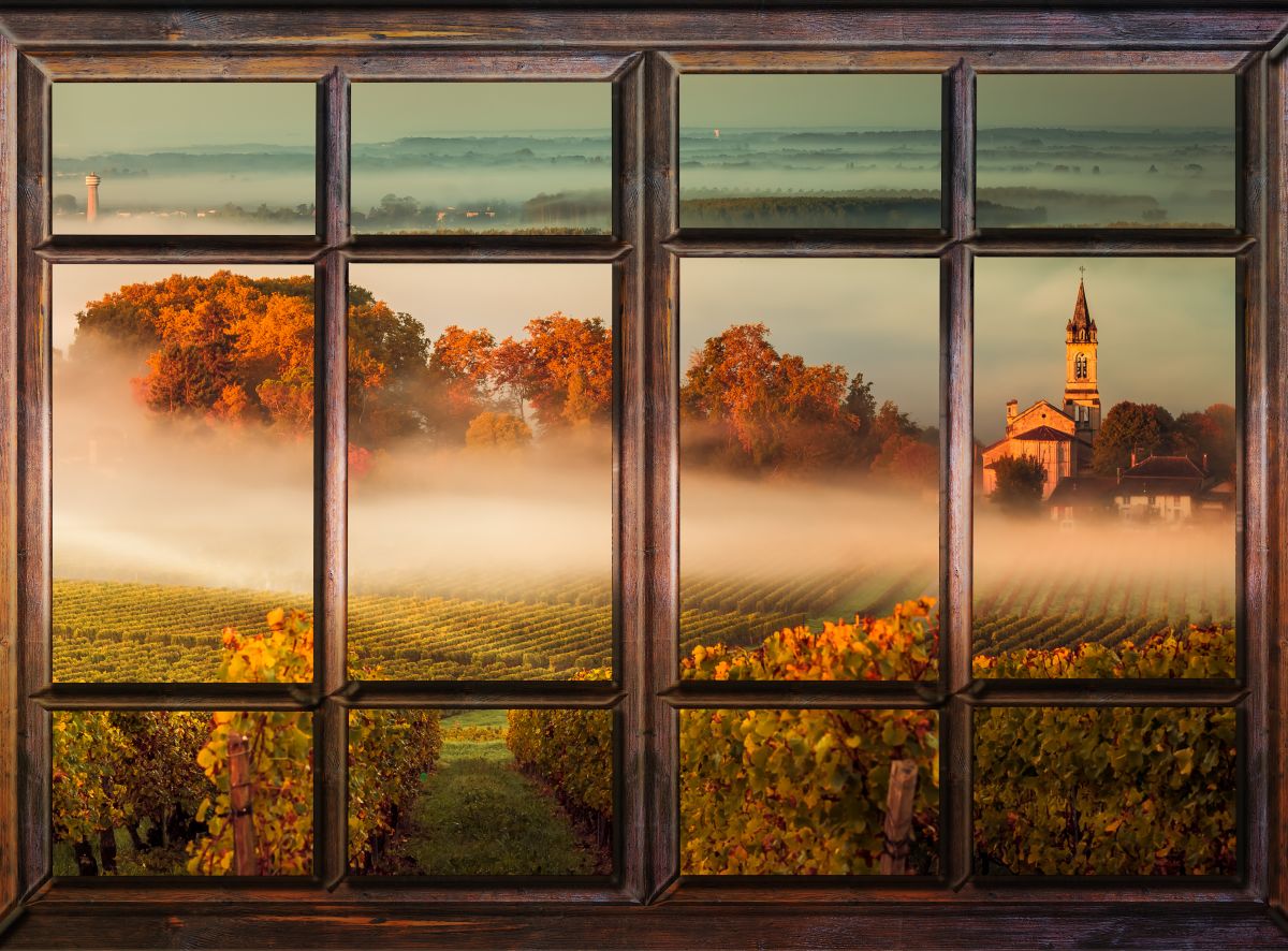 Window To Vineyard Mist
