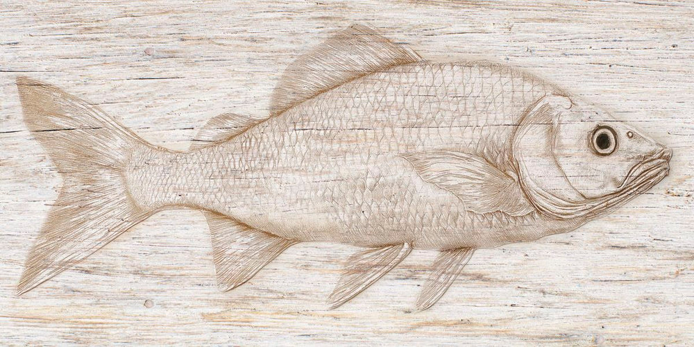 Detailed Fish On Beige