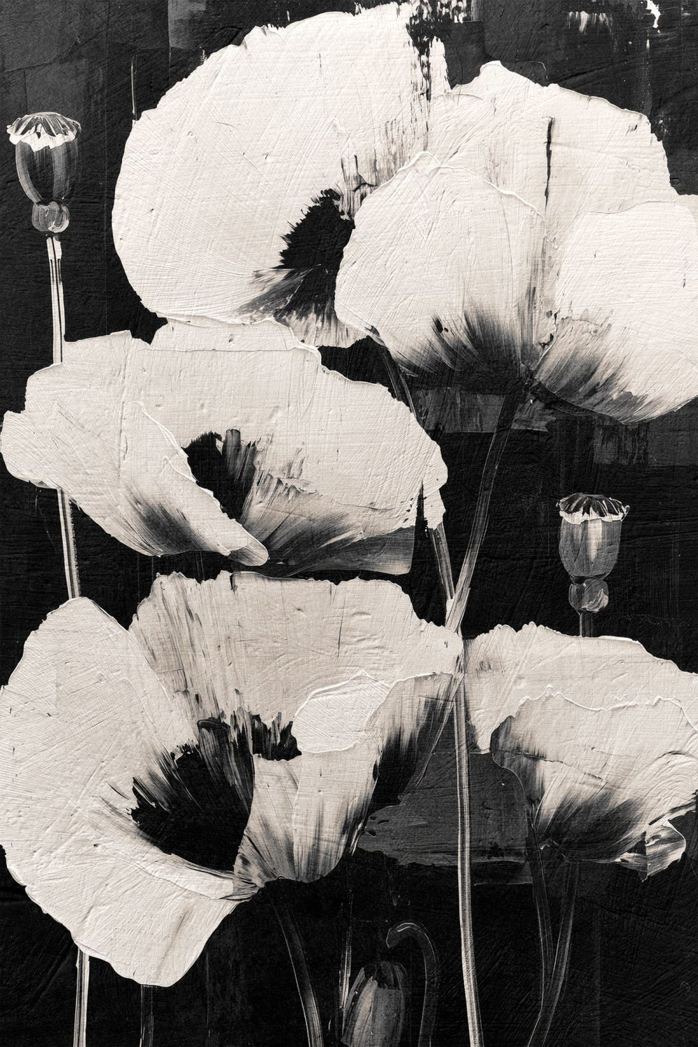 Flowers In Shadow