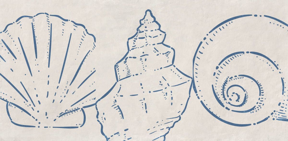 Shells Outline I Wall Art