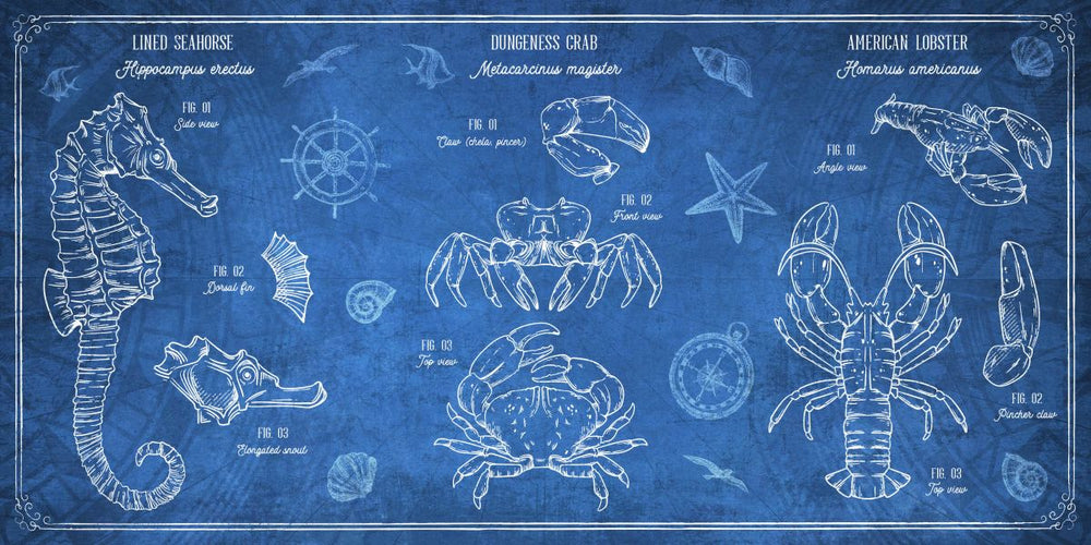 Sea Life Trio Blueprint