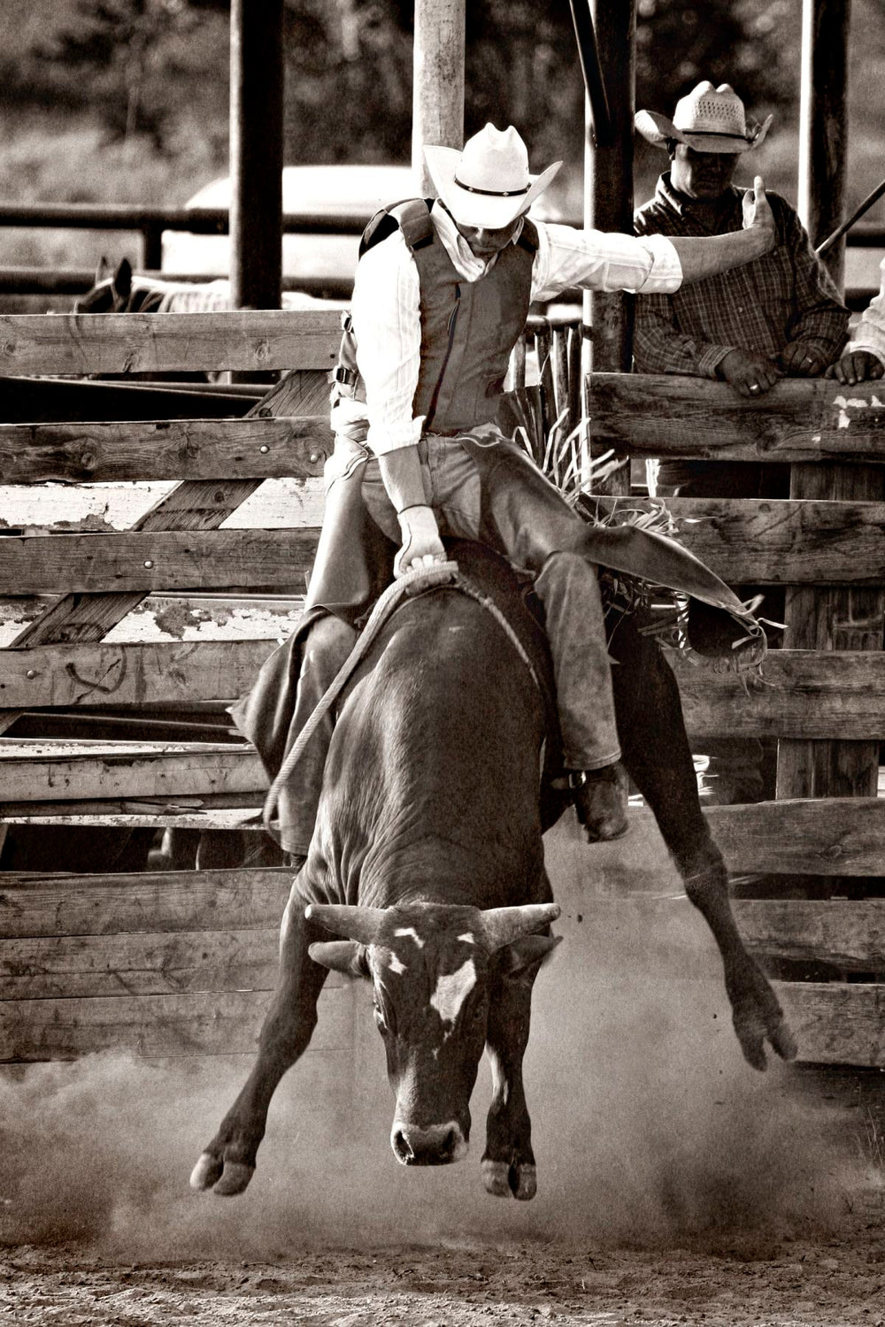 Ride Or Fall