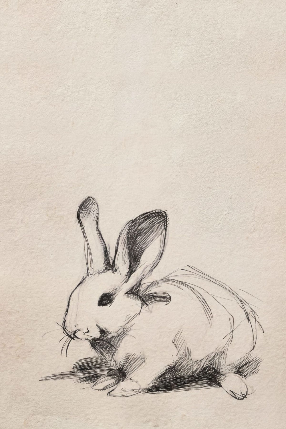 Fine Line Rabbit Ink Drawing
