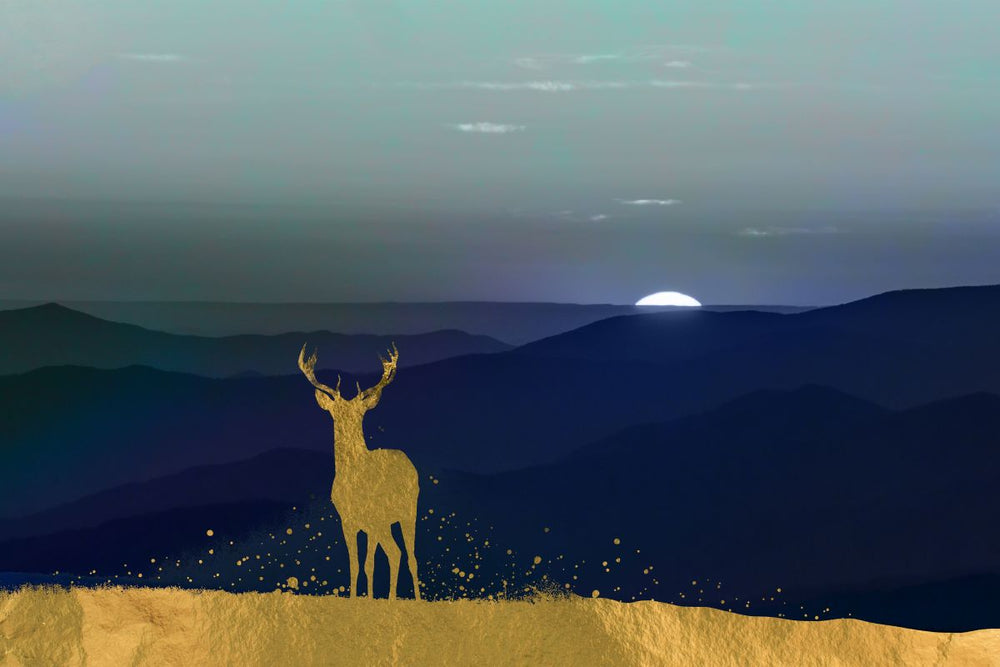 Silhouette Of Lone Deer
