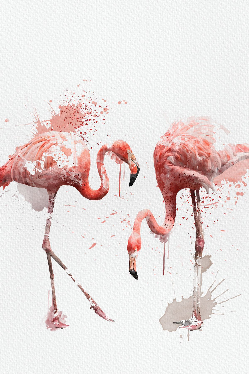 Pair Of Flamingos Watercolor Splash