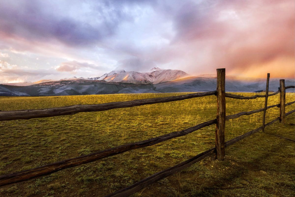 Fence Across Field