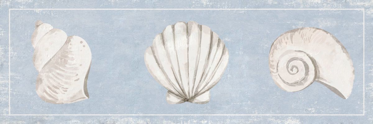Shell Trios II Wall Art