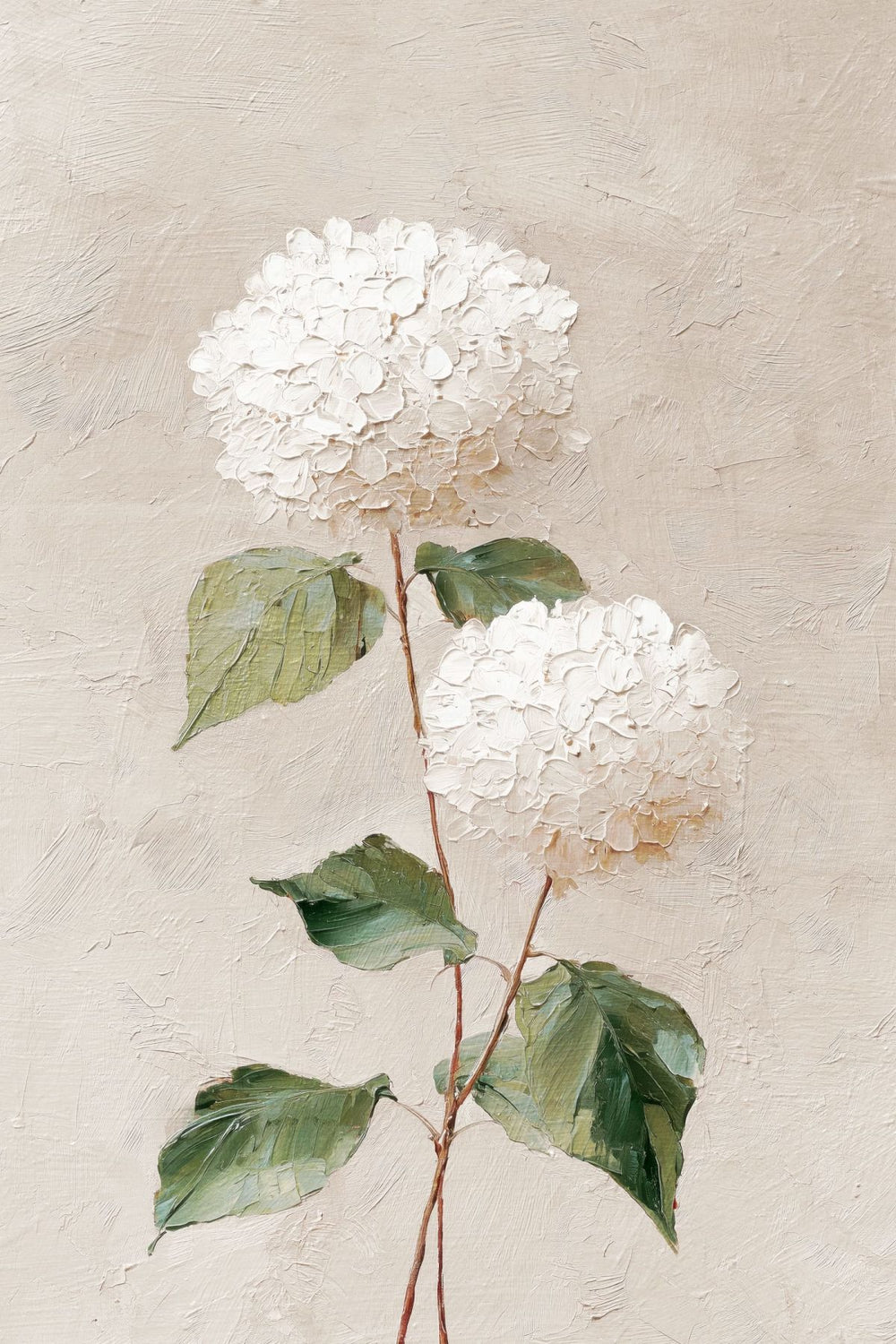 Soft White Hydrangeas